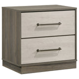 Tampa Furniture Outlet - Coaster - Fenwick 2-drawer Nightstand Bedside Table Grey Oak - 224982