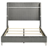 Lucia 61-inch Upholstered Queen Wingback Bed Grey - Tampa Furniture Outlet