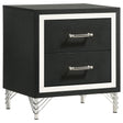 Tampa Furniture Outlet - Coaster - Lucia 2-drawer Nightstand Bedside Table Black - 224992