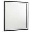 Tampa Furniture Outlet - Coaster - Lucia Dresser Mirror Black - 224994