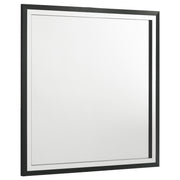 Tampa Furniture Outlet - Coaster - Lucia Dresser Mirror Black - 224994