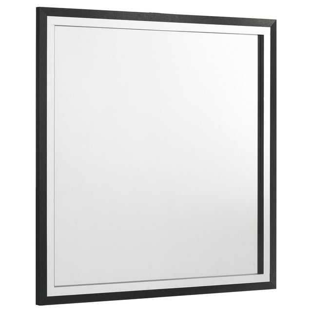 Tampa Furniture Outlet - Coaster - Lucia Dresser Mirror Black - 224994