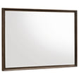 Tampa Furniture Outlet - Coaster - Glenwood Dresser Mirror Warm Brown - 225014