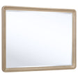 Tampa Furniture Outlet - Coaster - Ladera Dresser Mirror Light Elm - 225084