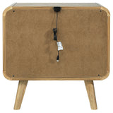 Robyn 2-drawer Nightstand Bedside Table Light Ash - Tampa Furniture Outlet
