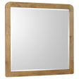 Tampa Furniture Outlet - Coaster - Robyn Dresser Mirror Light Ash - 225094