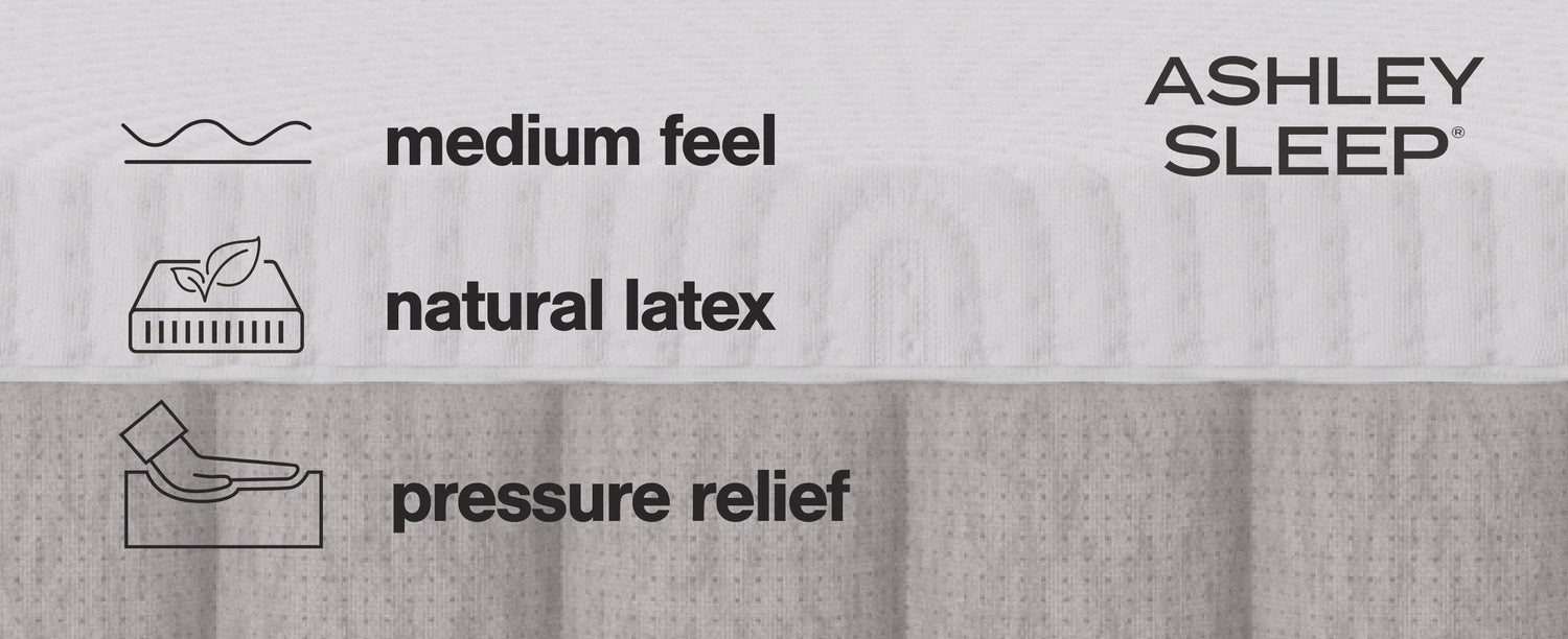 Terra Sleep Medium Mattresses