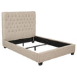 Tampa Furniture Outlet - Coaster - Chloe Upholstered Full Panel Bed Oatmeal - 300007F