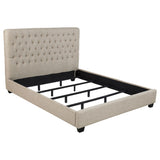 Tampa Furniture Outlet - Coaster - Chloe Upholstered California King Panel Bed Oatmeal - 300007KW