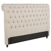 Tampa Furniture Outlet - Coaster - Devon 57-inch Upholstered California King Headboard Beige - 300525KWB1