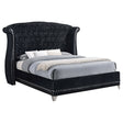 Tampa Furniture Outlet - Coaster - Barzini Upholstered Queen Wingback Bed Black - 300643Q
