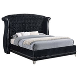 Tampa Furniture Outlet - Coaster - Barzini Upholstered Queen Wingback Bed Black - 300643Q
