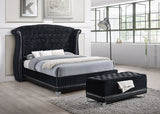 Barzini Upholstered Queen Wingback Bed Black - Tampa Furniture Outlet