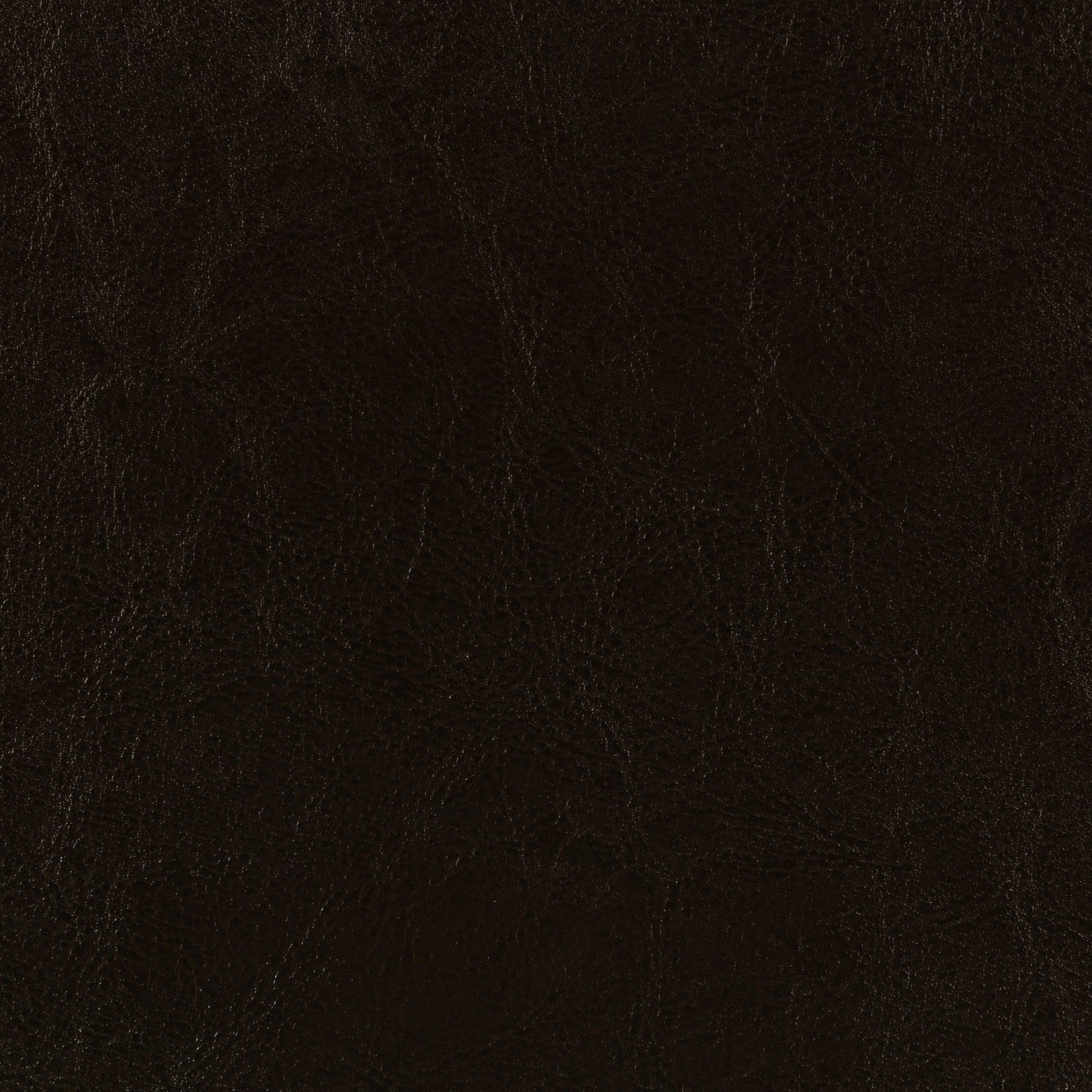Dorian Faux Leather Upholstered Queen Panel Bed Brown - Tampa Furniture Outlet