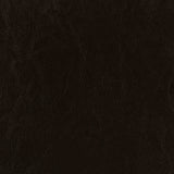 Dorian Faux Leather Upholstered Twin Panel Bed Brown - Tampa Furniture Outlet