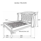 Barzini Upholstered Eastern King Wingback Bed White - Tampa Furniture Outlet