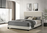 Dorian Fabric Upholstered Queen Panel Bed Cream - Tampa Furniture Outlet