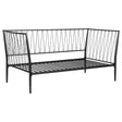 Tampa Furniture Outlet - Coaster - Richland Metal Twin Daybed Bed Frame Matte Black - 301057
