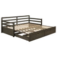 Tampa Furniture Outlet - Coaster - Sorrento 2-drawer Twin XL Daybed with Extension Trundle Grey - 305706