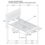 Soledad Upholstered Queen Storage Panel Bed Grey - Tampa Furniture Outlet