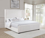 Natasha 65-inch Upholstered California King Bed Cream - Tampa Furniture Outlet