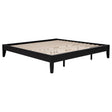 Tampa Furniture Outlet - Coaster - Hounslow California King Universal Platform Bed Black - 306129KW