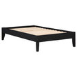 Tampa Furniture Outlet - Coaster - Hounslow Twin Universal Platform Bed Black - 306129T
