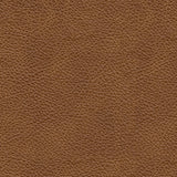 Emilia Sectionals - Tampa Furniture Outlet