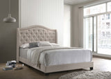 Sonoma Upholstered Queen Wingback Bed Beige - Tampa Furniture Outlet