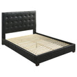 Tampa Furniture Outlet - Coaster - Medley Genuine Leather Queen Panel Platform Bed Black - 315911BLKQ
