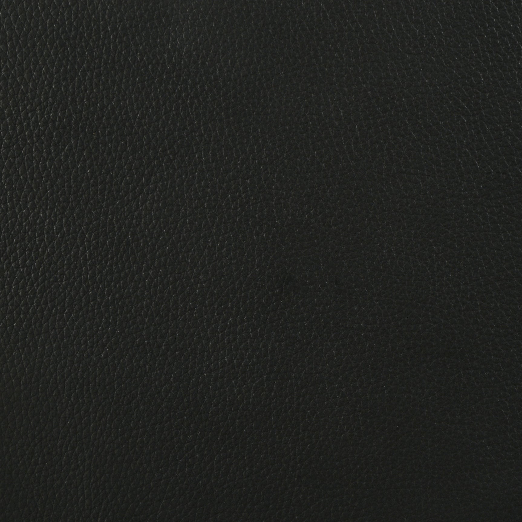 Medley Genuine Leather Queen Panel Platform Bed Black