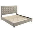 Tampa Furniture Outlet - Coaster - Medley Genuine Leather Eastern King Platform Bed Tan - 315911TANKE