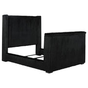 Tampa Furniture Outlet - Coaster - Centergrove Upholstered Queen Wingback TV Bed Black - 315945Q