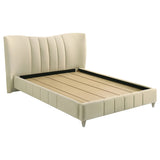 Tampa Furniture Outlet - Coaster - Evelyn Upholstered Queen Panel Platform Bed Ivory - 315956Q