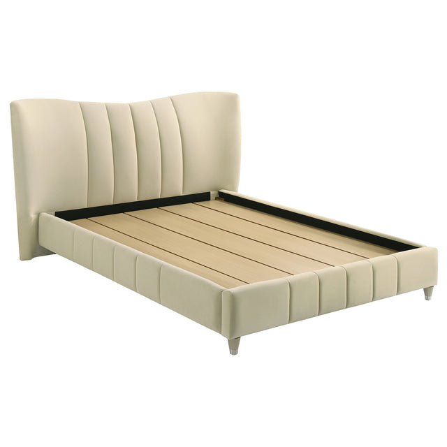 Tampa Furniture Outlet - Coaster - Evelyn Upholstered Queen Panel Platform Bed Ivory - 315956Q
