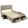 Tampa Furniture Outlet - Coaster - Wheatland 4-drawer Upholstered Queen Storage Bed Light Brown - 316010Q