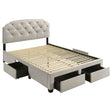Tampa Furniture Outlet - Coaster - Marianna 4-drawer Upholstered Queen Storage Bed Cream - 316011Q