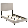 Tampa Furniture Outlet - Coaster - Boyd Upholstered Twin Panel Bed Ivory - 350051T