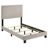 Tampa Furniture Outlet - Coaster - Boyd Upholstered Twin Panel Bed Ivory - 350051T