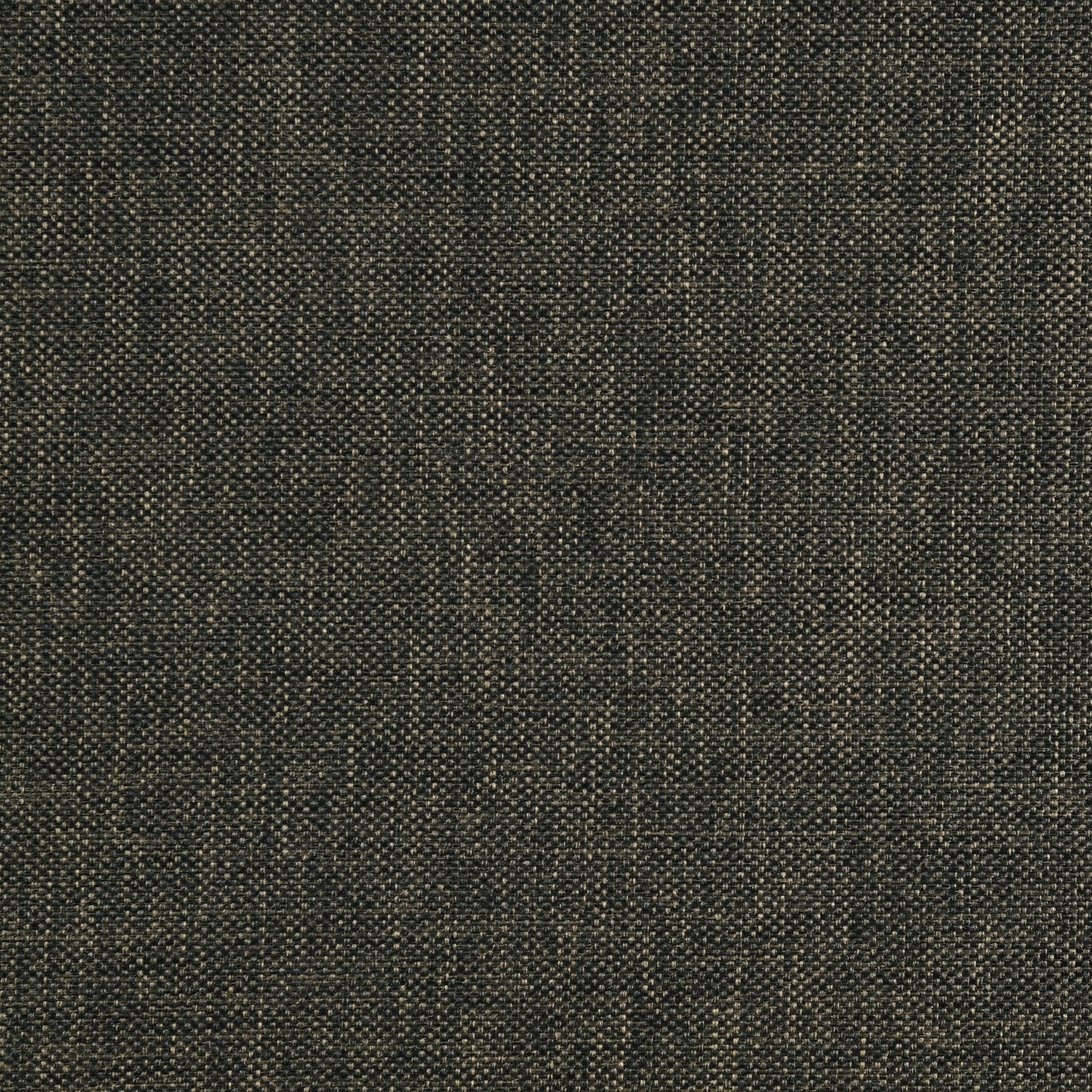 Boyd Upholstered Twin Panel Bed Charcoal - Tampa Furniture Outlet