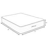 Montlake 14-inch California King Cool Firm Foam Hybrid Mattress - Tampa Furniture Outlet