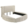 Tampa Furniture Outlet - Coaster - Sonya Upholstered Eastern King Round Storage Bed Ivory - 360111KE