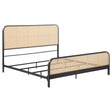 Tampa Furniture Outlet - Coaster - Lanewood Open Cane Webbing Metal Eastern King Bed Black - 360250KE