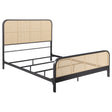 Tampa Furniture Outlet - Coaster - Lanewood Open Cane Webbing Metal Queen Bed Black - 360250Q