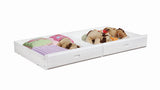 Chapman Wood Storage Trundle White - Tampa Furniture Outlet