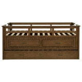 Carlsbad Wood Twin Captains Bed With Trundle Medium Brown - Tampa Furniture Outlet