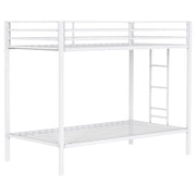 Tampa Furniture Outlet - Coaster - Alevera Metal Twin Over Twin Bunk Bed with Ladder White - 460361WHT