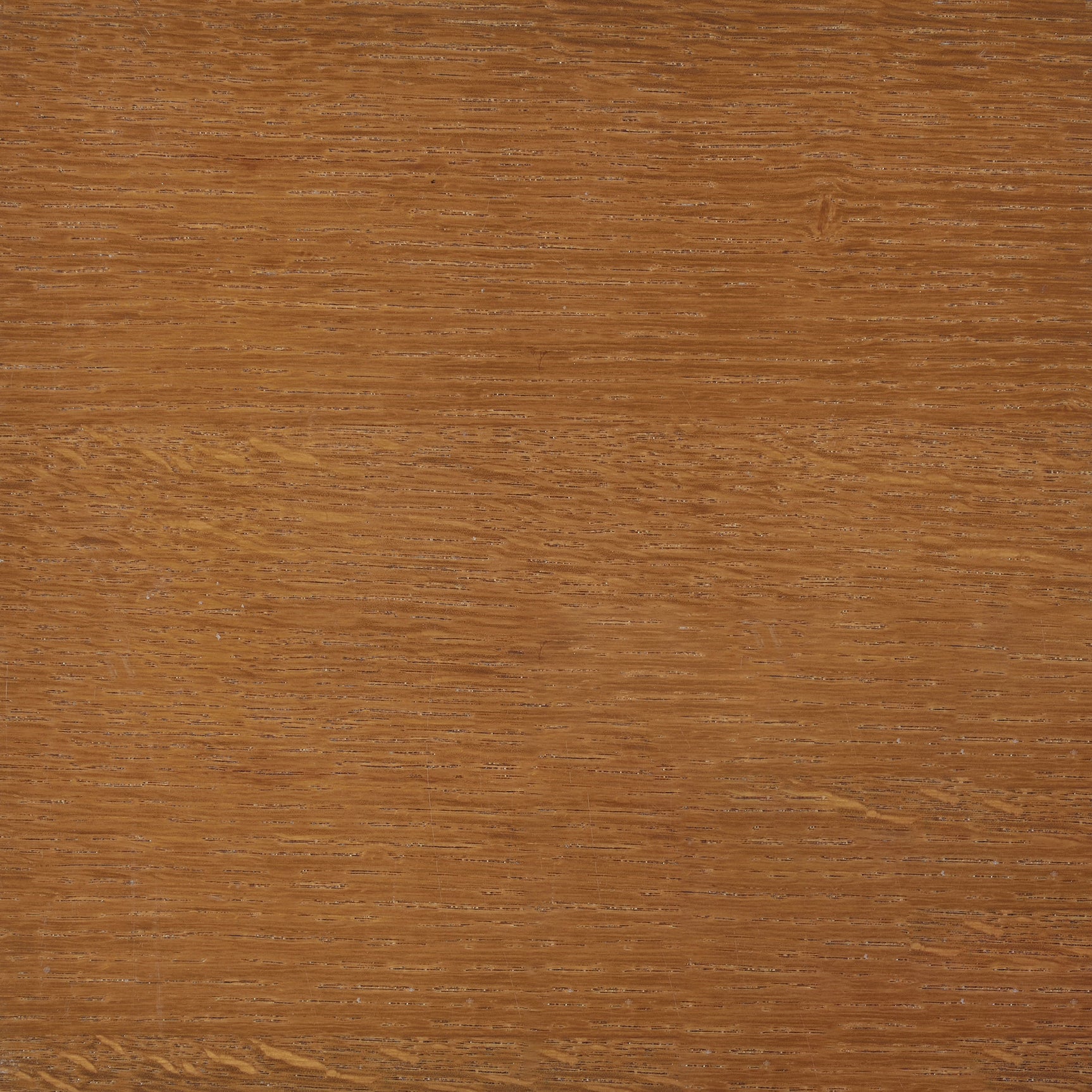 Paula Cedar Chest Honey - Tampa Furniture Outlet