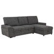 Tampa Furniture Outlet - Coaster - Demko Sleeper Sectional Sofa with Speaker and Storage Chaise Granite - 500355