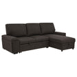 Tampa Furniture Outlet - Coaster - Demko Sleeper Sectional Sofa with Speaker and Storage Chaise Brown - 500356